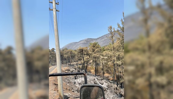 KAHRAMANLAR BOZÜYÜK'E DÖNDÜ